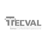 TECVAL LOGO